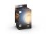 Bec led inteligent vintage (decorativ) philips hue filament glob g125, bluetooth, e27, 7w (40w), 550 lm, lumina alba (2200-4500k)