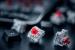 Tastatura trust gxt 865 asta, mechanical gaming, neagra