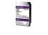 Hdd intern wd, 3.5", 10tb, purple, sata3, intellipower (5400rpm), 256mb, surveillance hdd