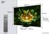 Televizor tcl mini led 85q7c, 215 cm, smart google tv, 4k ultra hd, (model 2025)