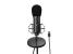 Microfon genesis radium 600 g2, tip condenser, model cardioid, suport fix, conectivitate usb-c si jack 3.5 mm,  raspuns in frecventa 30 - 18.000 hz, sensibilitate -36 db, lungime cablu 180 cm, negru