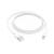 Apple lightning to usb cable (1 m) (replaces: mxly2zm/a)