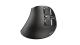Mouse trust voxx, rechargeable ergonomic wireless, negru