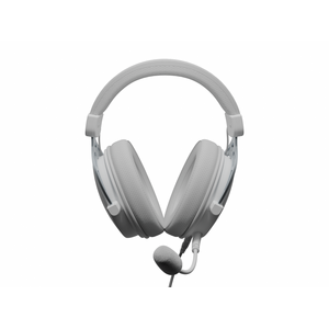Casti gaming cu fir genesis toron 531, sunet stereo, microfon, impendanta 32 ohm, frecventa raspuns 20 - 20.000 hz, lungime cablu 100cm, frecventa raspuns microfon 100 hz - 10 khz, sensibilitate -42db, impendanta microfon 2200 ohm,  conectivitate 3x jack 