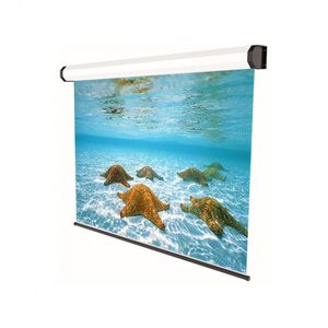 Ecran de proiectie electric, cu prindere in tavan/perete sopar professional, format 4:3, suprafata de proiectie 350x265 cm, diagonala 173 inch, unghi de vizionare 150°, tip panza alba (fata) neagra (spate), din aluminiu