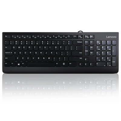 Lenovo 300 usb keyboard - us english, tip: standard, interfata tastatura: usb, tehnologie: cu fir, tastatura iluminata: nu, culoare: negru, dimensiune: 424 x 146 x 20 mm, greutate: 76g, garantie: 1 an